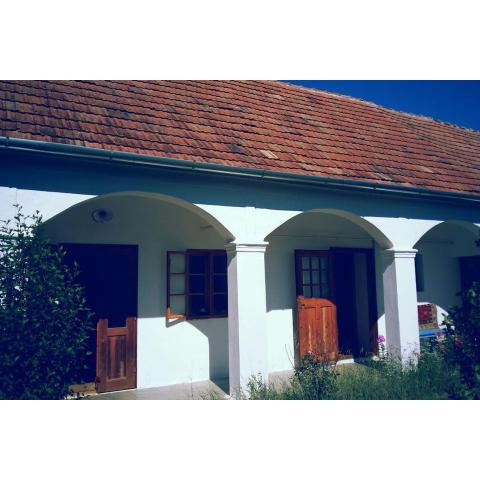 Historisches Arkadenhaus mit großem Garten