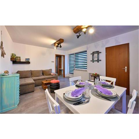 Stunning apartment in Sandrovac with 1 Bedrooms